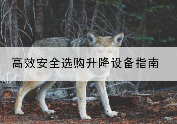 阜宁升降货梯厂家推荐-*安全选购升降设备指南