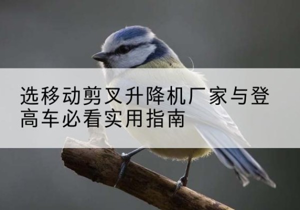 阜宁电动升降机厂家-选移动剪叉升降机厂家与登高车必看实用指南